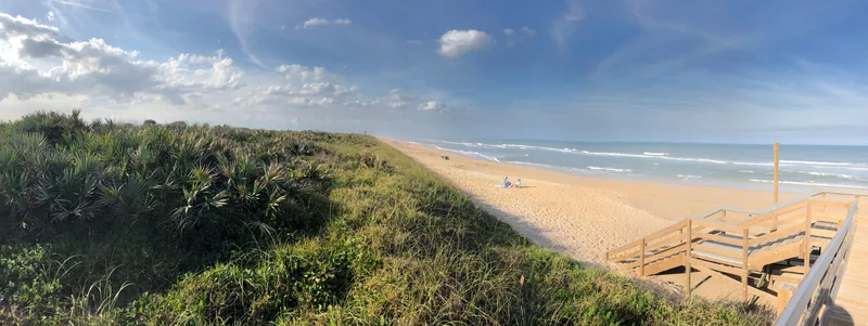 Dunes, beach, and ocean at Canaveral National Seashore.